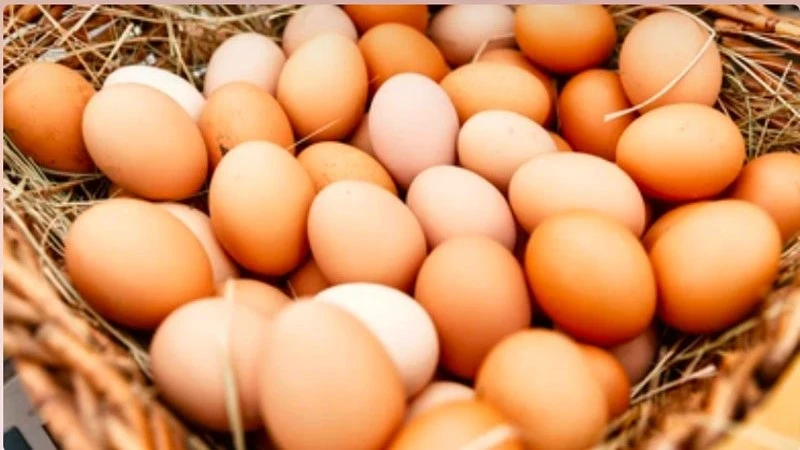 Sau khi xăm môi cần hạn chế ăn trứng gà