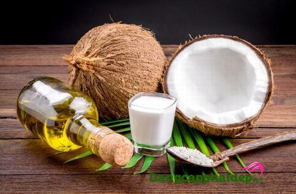 alt: Hình ảnh minh họa nguyên liệu làm hỗn hợp trị rạn da bằng nha đam, dầu dừa và vitamin E